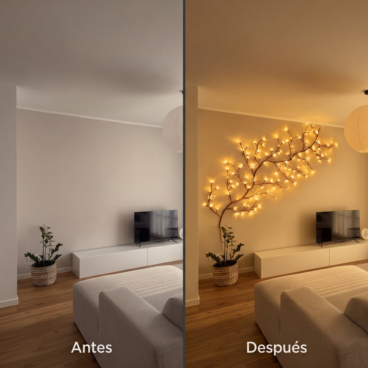 Un Poco de Luz, un Hogar Más Cálido