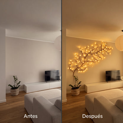 Un Poco de Luz, un Hogar Más Cálido